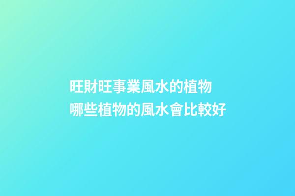 旺財旺事業風水的植物 哪些植物的風水會比較好